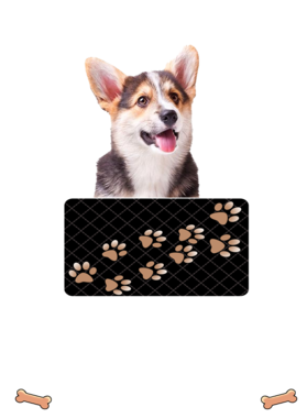 https://d1w8c6s6gmwlek.cloudfront.net/dabbapparel.com/overlays/385/639/38563930.png img