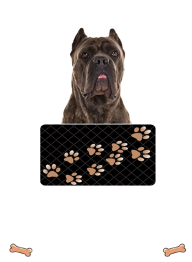 https://d1w8c6s6gmwlek.cloudfront.net/dabbapparel.com/overlays/385/639/38563932.png img