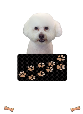 https://d1w8c6s6gmwlek.cloudfront.net/dabbapparel.com/overlays/385/639/38563933.png img