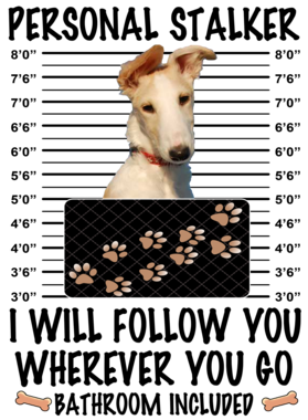 https://d1w8c6s6gmwlek.cloudfront.net/dabbapparel.com/overlays/385/639/38563934.png img