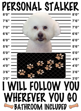 https://d1w8c6s6gmwlek.cloudfront.net/dabbapparel.com/overlays/385/639/38563935.png img