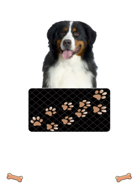 https://d1w8c6s6gmwlek.cloudfront.net/dabbapparel.com/overlays/385/639/38563937.png img