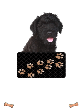 https://d1w8c6s6gmwlek.cloudfront.net/dabbapparel.com/overlays/385/639/38563939.png img