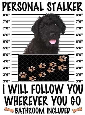 https://d1w8c6s6gmwlek.cloudfront.net/dabbapparel.com/overlays/385/639/38563940.png img