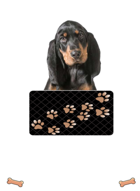 https://d1w8c6s6gmwlek.cloudfront.net/dabbapparel.com/overlays/385/639/38563942.png img