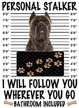 https://d1w8c6s6gmwlek.cloudfront.net/dabbapparel.com/overlays/385/639/38563943.png img