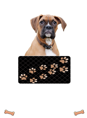 https://d1w8c6s6gmwlek.cloudfront.net/dabbapparel.com/overlays/385/639/38563944.png img