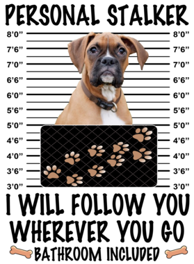 https://d1w8c6s6gmwlek.cloudfront.net/dabbapparel.com/overlays/385/639/38563945.png img