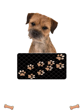 https://d1w8c6s6gmwlek.cloudfront.net/dabbapparel.com/overlays/385/639/38563946.png img