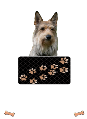 https://d1w8c6s6gmwlek.cloudfront.net/dabbapparel.com/overlays/385/639/38563948.png img