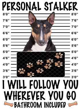 https://d1w8c6s6gmwlek.cloudfront.net/dabbapparel.com/overlays/385/639/38563951.png img