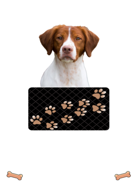 https://d1w8c6s6gmwlek.cloudfront.net/dabbapparel.com/overlays/385/639/38563952.png img