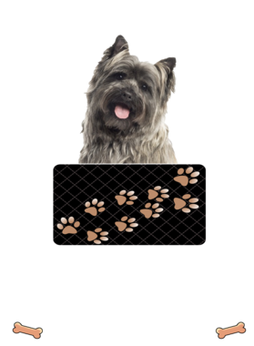 https://d1w8c6s6gmwlek.cloudfront.net/dabbapparel.com/overlays/385/639/38563954.png img