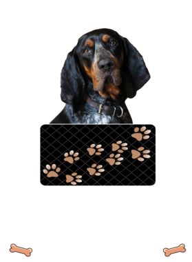 https://d1w8c6s6gmwlek.cloudfront.net/dabbapparel.com/overlays/385/639/38563958.png img