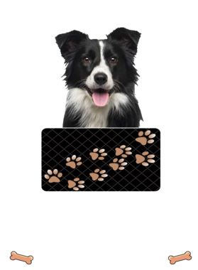 https://d1w8c6s6gmwlek.cloudfront.net/dabbapparel.com/overlays/385/639/38563961.png img