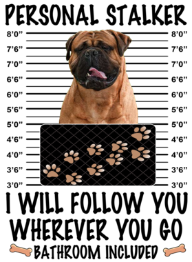 https://d1w8c6s6gmwlek.cloudfront.net/dabbapparel.com/overlays/385/639/38563962.png img