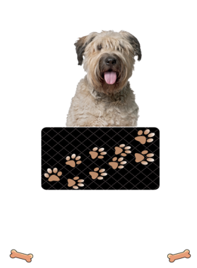 https://d1w8c6s6gmwlek.cloudfront.net/dabbapparel.com/overlays/385/639/38563963.png img