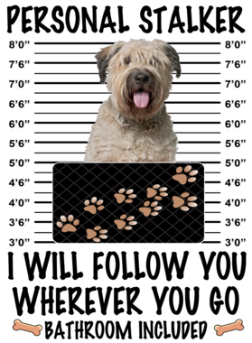 https://d1w8c6s6gmwlek.cloudfront.net/dabbapparel.com/overlays/385/639/38563964.png img