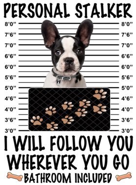 https://d1w8c6s6gmwlek.cloudfront.net/dabbapparel.com/overlays/385/639/38563966.png img