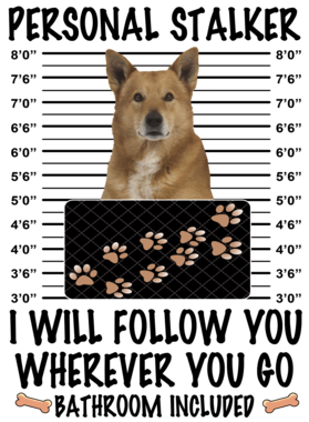 https://d1w8c6s6gmwlek.cloudfront.net/dabbapparel.com/overlays/385/639/38563970.png img
