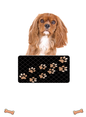 https://d1w8c6s6gmwlek.cloudfront.net/dabbapparel.com/overlays/385/639/38563971.png img