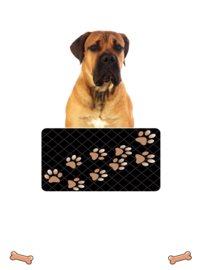 https://d1w8c6s6gmwlek.cloudfront.net/dabbapparel.com/overlays/385/639/38563972.png img