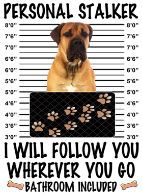 https://d1w8c6s6gmwlek.cloudfront.net/dabbapparel.com/overlays/385/639/38563973.png img