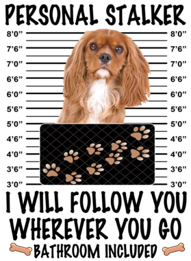https://d1w8c6s6gmwlek.cloudfront.net/dabbapparel.com/overlays/385/639/38563974.png img