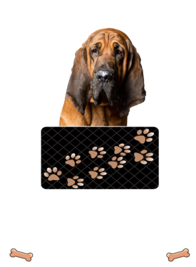 https://d1w8c6s6gmwlek.cloudfront.net/dabbapparel.com/overlays/385/639/38563975.png img