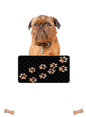 https://d1w8c6s6gmwlek.cloudfront.net/dabbapparel.com/overlays/385/639/38563977.png img