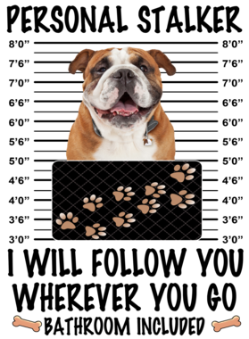 https://d1w8c6s6gmwlek.cloudfront.net/dabbapparel.com/overlays/385/639/38563979.png img