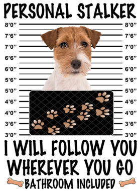 https://d1w8c6s6gmwlek.cloudfront.net/dabbapparel.com/overlays/385/773/38577304.png img