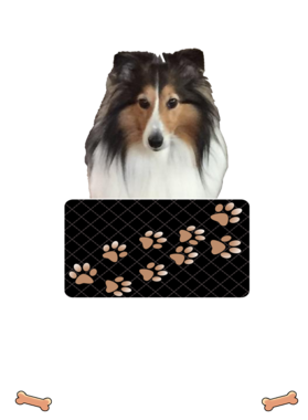 https://d1w8c6s6gmwlek.cloudfront.net/dabbapparel.com/overlays/385/773/38577306.png img