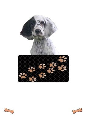 https://d1w8c6s6gmwlek.cloudfront.net/dabbapparel.com/overlays/385/773/38577313.png img