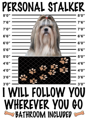 https://d1w8c6s6gmwlek.cloudfront.net/dabbapparel.com/overlays/385/773/38577334.png img