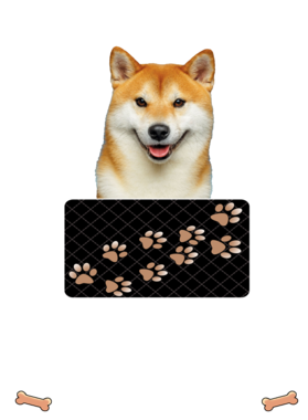 https://d1w8c6s6gmwlek.cloudfront.net/dabbapparel.com/overlays/385/773/38577350.png img
