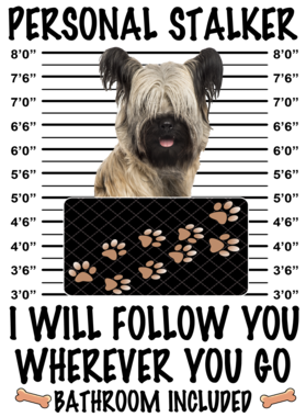 https://d1w8c6s6gmwlek.cloudfront.net/dabbapparel.com/overlays/385/773/38577363.png img