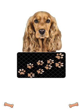 https://d1w8c6s6gmwlek.cloudfront.net/dabbapparel.com/overlays/385/773/38577383.png img