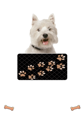 https://d1w8c6s6gmwlek.cloudfront.net/dabbapparel.com/overlays/385/878/38587858.png img