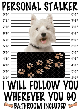 https://d1w8c6s6gmwlek.cloudfront.net/dabbapparel.com/overlays/385/878/38587859.png img
