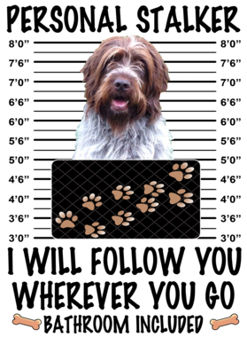 https://d1w8c6s6gmwlek.cloudfront.net/dabbapparel.com/overlays/385/878/38587862.png img