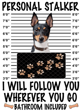 https://d1w8c6s6gmwlek.cloudfront.net/dabbapparel.com/overlays/385/878/38587863.png img