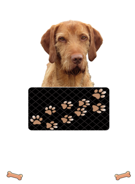 https://d1w8c6s6gmwlek.cloudfront.net/dabbapparel.com/overlays/385/878/38587864.png img