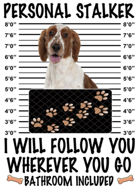 https://d1w8c6s6gmwlek.cloudfront.net/dabbapparel.com/overlays/385/878/38587865.png img