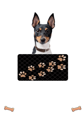 https://d1w8c6s6gmwlek.cloudfront.net/dabbapparel.com/overlays/385/878/38587866.png img