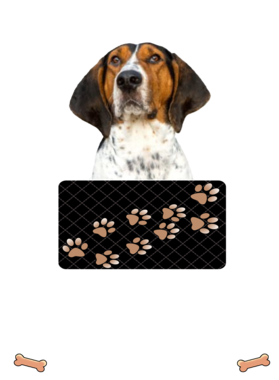 https://d1w8c6s6gmwlek.cloudfront.net/dabbapparel.com/overlays/385/878/38587868.png img