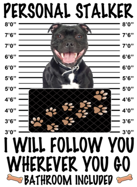 https://d1w8c6s6gmwlek.cloudfront.net/dabbapparel.com/overlays/385/878/38587869.png img