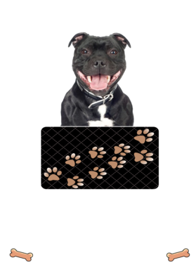 https://d1w8c6s6gmwlek.cloudfront.net/dabbapparel.com/overlays/385/878/38587870.png img