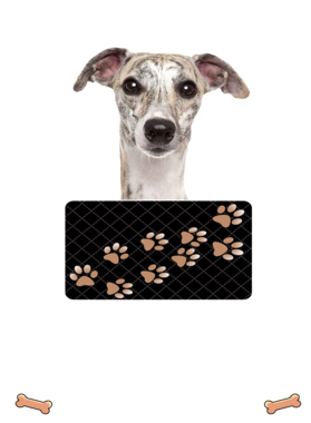 https://d1w8c6s6gmwlek.cloudfront.net/dabbapparel.com/overlays/385/878/38587871.png img
