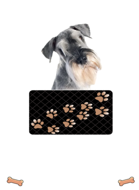 https://d1w8c6s6gmwlek.cloudfront.net/dabbapparel.com/overlays/385/878/38587872.png img